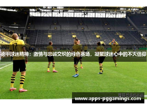德甲球迷精神：激情与忠诚交织的绿色赛场，凝聚球迷心中的不灭信仰