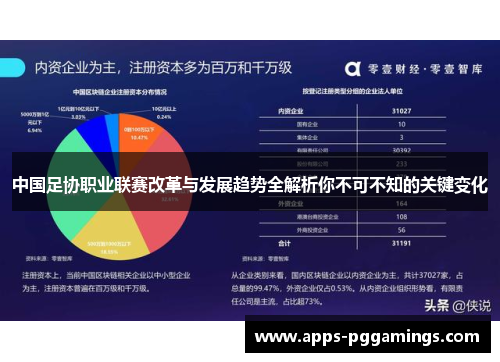 中国足协职业联赛改革与发展趋势全解析你不可不知的关键变化
