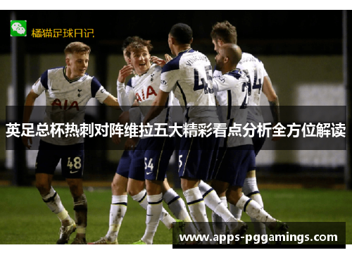 英足总杯热刺对阵维拉五大精彩看点分析全方位解读