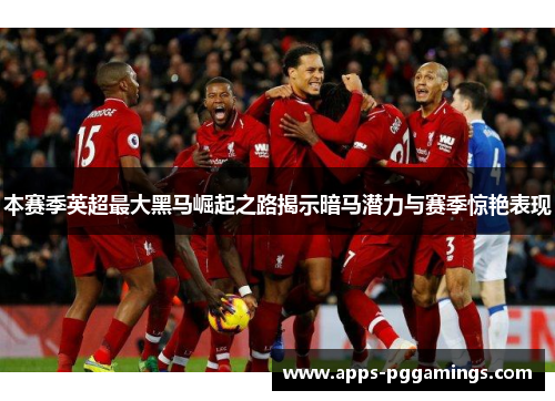 本赛季英超最大黑马崛起之路揭示暗马潜力与赛季惊艳表现