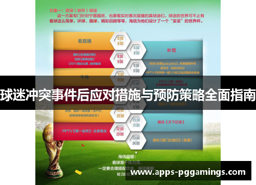 球迷冲突事件后应对措施与预防策略全面指南