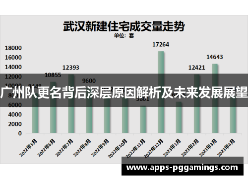 广州队更名背后深层原因解析及未来发展展望