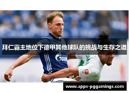 拜仁霸主地位下德甲其他球队的挑战与生存之道