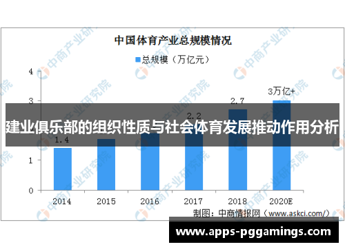 建业俱乐部的组织性质与社会体育发展推动作用分析
