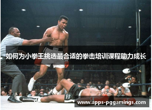 如何为小拳王挑选最合适的拳击培训课程助力成长