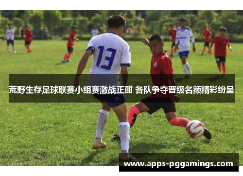 荒野生存足球联赛小组赛激战正酣 各队争夺晋级名额精彩纷呈